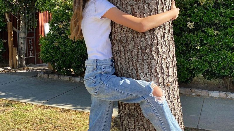 减速机与电机安装：关键步骤与注意事项揭秘